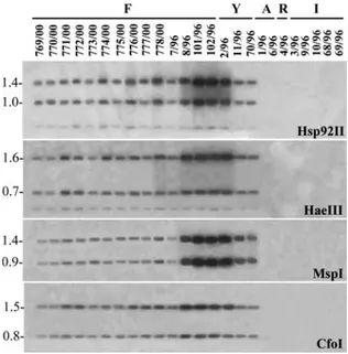 Figure 5. Restriction map of plasmid F. Puriﬁed plasmid DNA, restricted by ApaI (A), EcoRI (E), HaeIII (Ha), Hsp92II (Hs), MspI (M), PstI (P), RsaI (R), SacI (Sc), SalI (Sl), CfoI (C) or uncut (u), hybridised with plasmid F as a probe