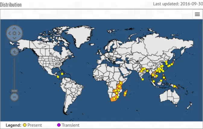 Figure 1: Global distribution map for Pseudocercospora pini-densi ﬂorae (extracted from EPPO, 2017, accessed June 2017)