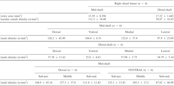 Table 1. Mean cortex area and density of vascular canals in mid-shaft and distal-shaft of the rabbit right femur (P &lt; 0.05) Right distal femur (n = 6)
