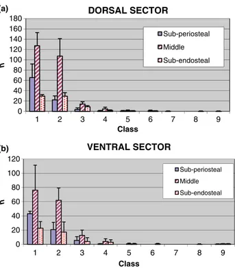 Fig. 5. (a, b) Frequency distribution for 200 l 2 area classes of canals in dorsal, ventral, medial and lateral sectors of the mid-shaft (a) and distal-shaft (b)