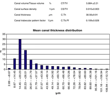 Fig. 10. Micro-CT reconstruction of the canal network in the volume of bone examined.