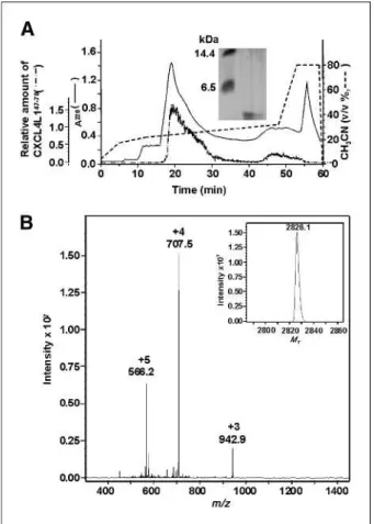 FIGURE 1. Purification of synthetic CXCL4L1/PF-4var 47-70