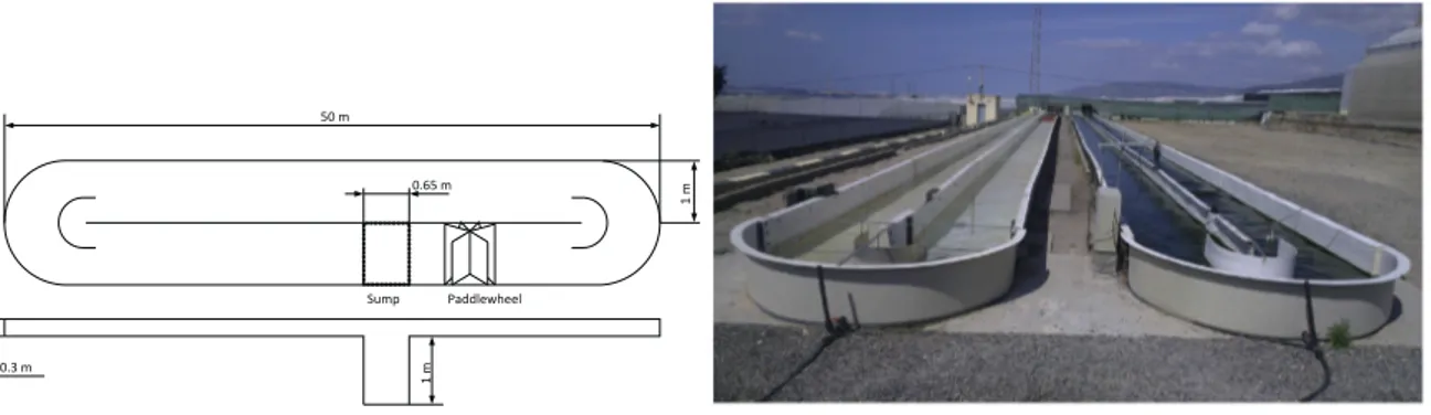 Figure 1. Raceway reactor used in this work for simulation. 2.2. Reactor Dynamic Model