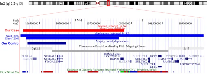 Figure 3. CNVs at 2q12. UCSC Genome Browser image of the 2q12 region found deleted in a patient and duplicated in a control in our study
