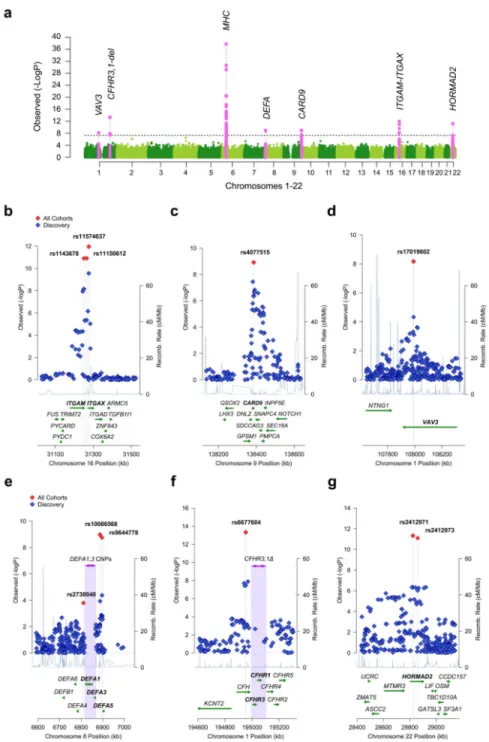 Figure 1. Results of the combined meta-analysis across all 20,612 individuals