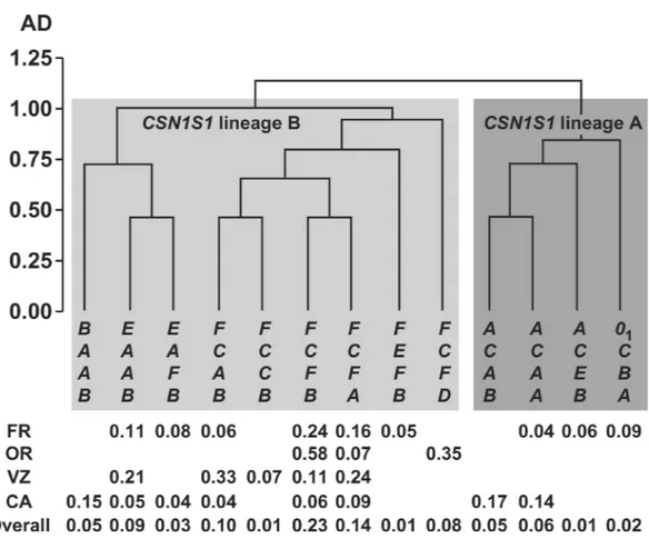 Figure 2. Tree from the cluster analysis of the most common CSN1S1-CSN2-CSN1S2-CSN3 haplotypes (frequency &gt;0.05 in at least one
