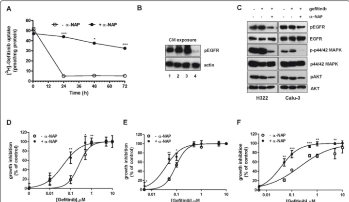 Figure 7 Effects of CYP1A1 inhibition on intracellular level of gefitinib, EGFR autophosphorylation and inhibition of cell growth