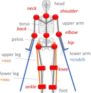 Figure 5. Mechanical model used to interpret the kinematic and dynamic data. Body segments are  shown in black