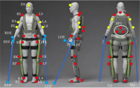Figure 6. Position of the retroreflective markers. Red dots indicate markers from the original Davis protocol, yellow dots indicate added markers on the subject, and blue dots indicate markers placed on the crutches.