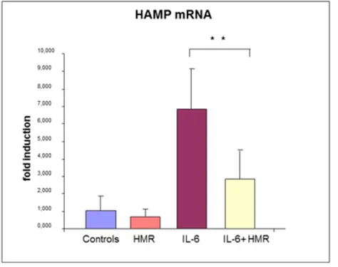 Figure 3.  Caco-2 cells were treated with 50ng/mL IL-6, in the presence or absence of 1μM HMR