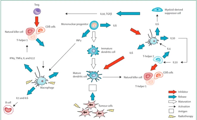 Figure 1: Main immune cells, interleukins, and cytokines involved in immune surveillance TGF=transforming growth factor