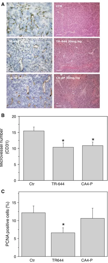 Fig. 11 Efficacy in vivo of TR-644 in a syngeneic mouse model. BL6-B16 murine melanoma cells were injected in the right flank of C57BL/6 mice as described in ‘‘ Materials and methods ’’