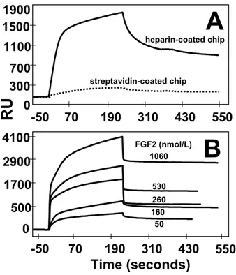 Figure II. Surface plasmon resonance analysis of FGF2/heparin interaction. A) FGF2 (260 