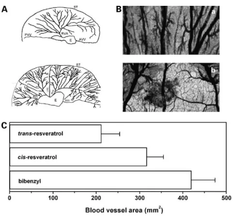 Figure 5. Effect of resveratrol stereoisomers on vascularization of the chick embryo area  vascu-losa