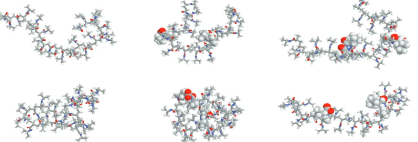 Figure 14. Conformations at t ) 75 ns of the 26-unit oligomers oN, oNM, and oNL (from left to right) at T ) 302 K (top row) and T ) 315 K