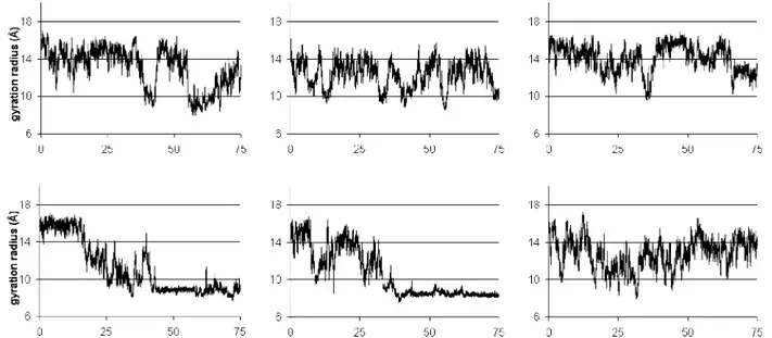 Figure 4. Time evolution of the C 5 and C 7 backbone atoms gyration radius R G, for oN, oNM, and oNL (from left to right) at 302 K (top panels) and 315 K (lower panels).