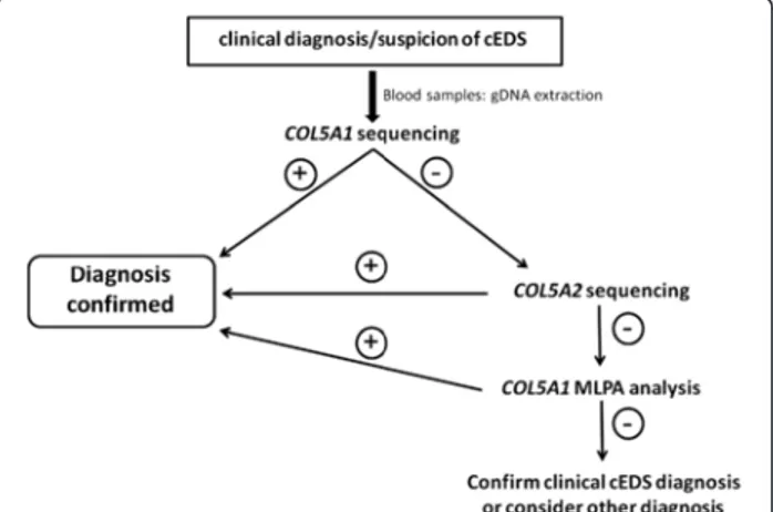 Figure 3 Diagnostic flowchart adopted in this study. The diagnostic strategy was based on the clinical evaluation of the patients followed by COL5A1 sequencing, which detected the causal mutation in the large majority of the cases