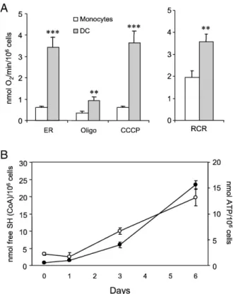 Fig. 1. Mitochondrial enzymatic activities in monocytes and monocyte-derived DC. (A) Cellular respiratory rate was measured in monocytes and in  monocyte-derived DC cultured for 6 days as described under Materials and methods