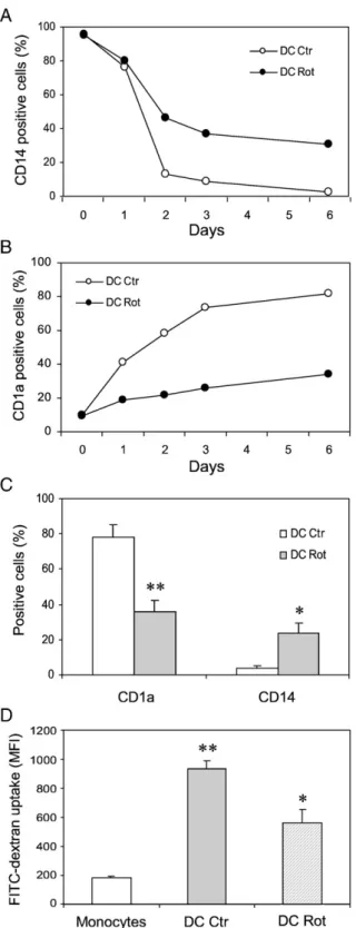 Fig. 4 shows the effects of rotenone on cellular ATP content and lactate production during DC differentiation
