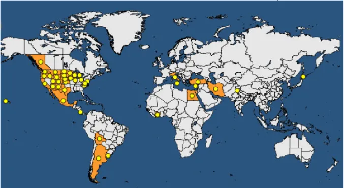 Figure 1: Global distribution of Beet curly top virus (extracted from EPPO Global Database, accessed June 30 2017)