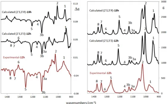 Figure 4. Comparison of experimental and computed vibrational circular dichroism (VCD) (left) and 