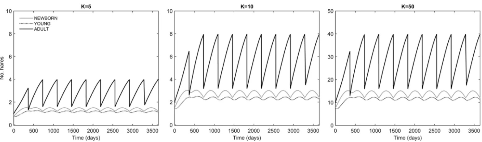 Figure 3 – Time evolution of the hare population model without infection (Y I = A I = 0) at carrying capacity (K) values of 5, 10 and 50 hares/km 2 .
