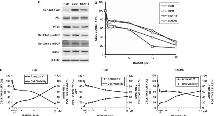Figure 1. PI3K/Akt/mTOR signaling activation and RAD001 sensitivity of B-pre ALL cell lines
