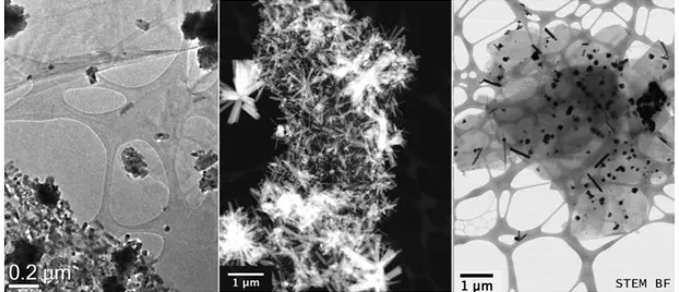 Figure 2: TEM and SEM images of the graphene – ZnO nanorods structure by transmitted- transmitted-electron imaging