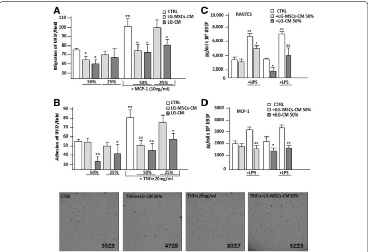 Fig. 7 LG-CM and LG-MSCs possess anti-inflammatory properties. The capacity of LG-CM and LG-MSCs to affect inflammatory cell functions was tested on the U937 monocyte cell line