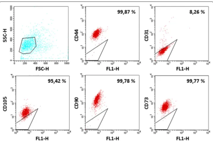 Fig. 5 Characterization of Lipogems®-derived MSCs. The levels of CD44-PE, CD73-PE, CD90-PE, CD105-PE, CD31-PE markers in LG-MSCs were analyzed by flow cytometry