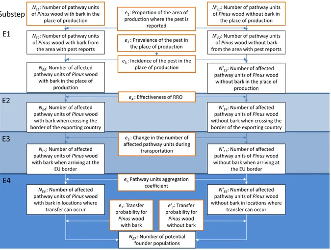Figure 1: Conceptual model for the assessment of the risk of entry into the EU of Atropellis spp