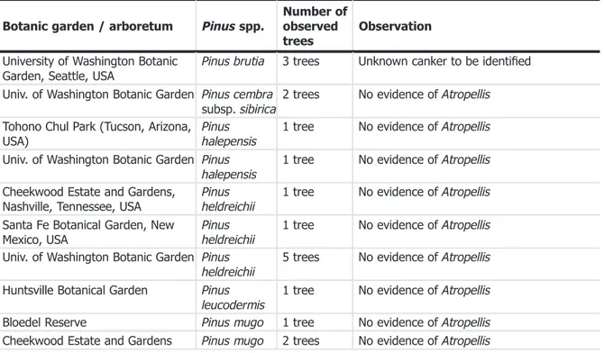 Table 6: Observations (including negative ones) of Atropellis spp. on European Pinus spp