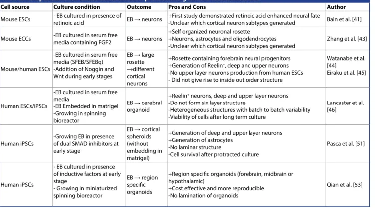 Table 2: Comparison of 3D based differentiation protocols to generate cortical neurons.