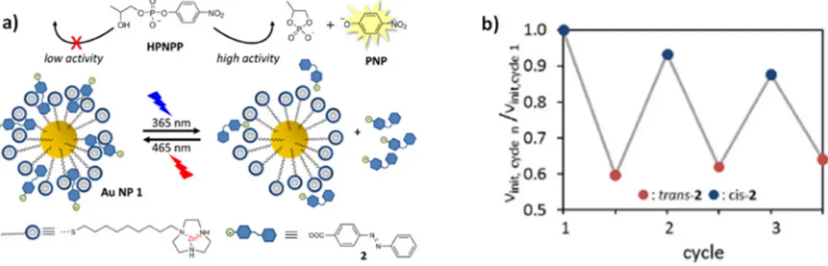 Figure 10. (a) Light-induced cis-trans isomerization of 4-(phenylazo)-benzoic acid changes its affinity  toward the TACN·Zn 2+  functionalized AuNPs, which catalyze the transphosphorylation of HPNPP; 