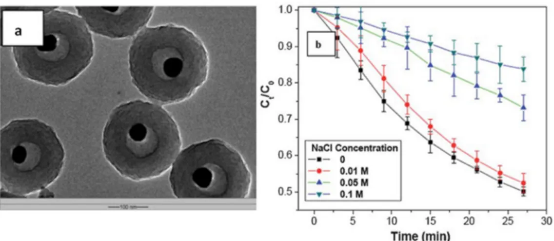 Figure 4. (a) TEM micrograph of the Ag@air@PMAA hybrid nanorattles; (b) variation of the reaction  kinetics of p-nitrophenol reduction by the Ag@air@PMAA nanorattles under the effect of different salt  concentrations in the reaction medium (pH 9.2, C 0  an