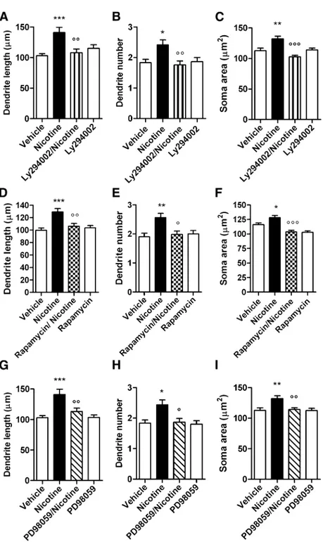 Fig. 8. Nicotine-induced structural plasticity in dopami- dopami-nergic neurons is prevented by PI3K inhibitor LY294002, mTORC1 inhibitor rapamycin, and MEK inhibitor PD98059