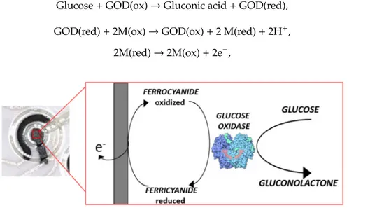 Figure 6. Mechanism of enzyme-mediated glucose sensing. 