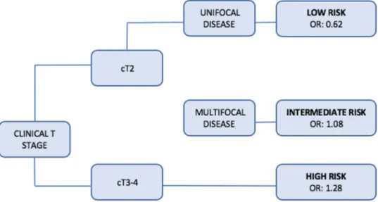 Fig. 1    Decision tree generated  by CART analyses, stratifying  patients with clinical  non-metastatic bladder cancer (BCa)  treated with radical cystectomy  (RC) and pelvic lymph node  dissection (PLND) according to  risk of presenting APF after RC