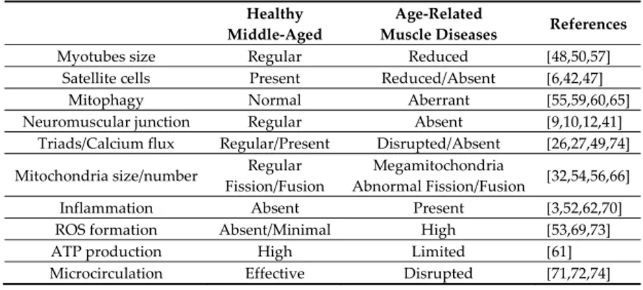 Table 1. Main features of healthy and age-related skeletal muscle disorders in mammals