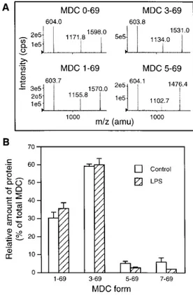 Fig. 4. Role of endocytosis in MDC production by DC. DC