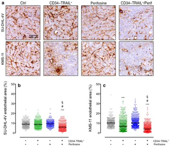 Fig. 7 Enhanced antivascular activity of CD34-TRAIL 1 cells by perifosine markedly reduces tumor vessel density