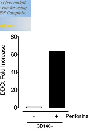Fig. S3 DR5 expression in TECs is modulated by perifosine at mRNA level