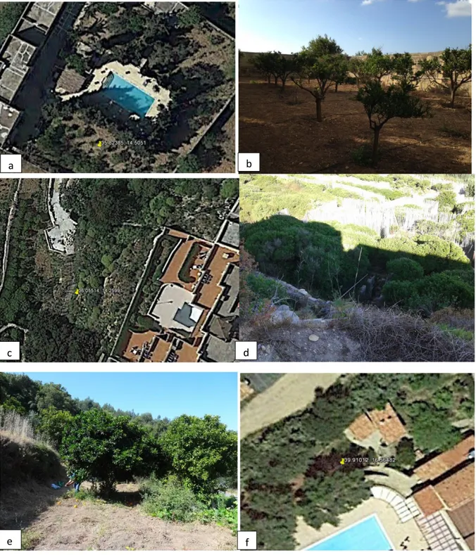 Figure 2: Photos of backyards and smallholdings from sites corresponding to the geographical coordinates indicated in Guarnaccia et al