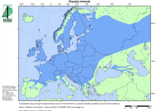 Figure 2: Native range of Populus tremula in Europe (map prepared by EUFORGEN in 2009, available at http://www.euforgen.org/species/populus-tremula/)