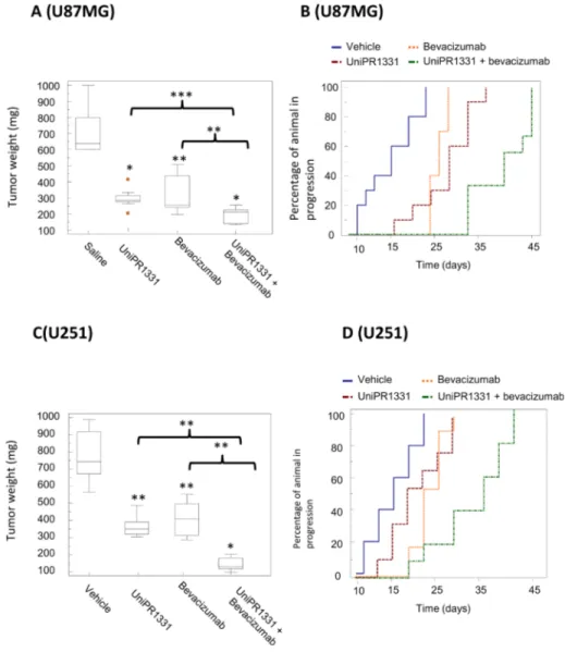 Figure 3: Combination between UniPR1331 and bevacizumab in GBM grafts.  CD1 nude mice were subcutaneously injected  with either U87MG or U251MG tumor cells and treated with 30 mg/kg UniPR1331 os 5 days a week, 4 mg/kg Bevacizumab iv every 4 days  or their 