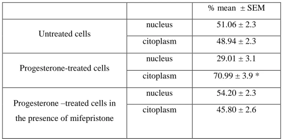 Table 2. Immunofluorescence quantification of β-catenin expression.   % mean  ± SEM  Untreated cells  nucleus  51.06 ± 2.3  citoplasm  48.94 ± 2.3  Progesterone-treated cells  nucleus  29.01 ± 3.1  citoplasm  70.99 ± 3.9 * 