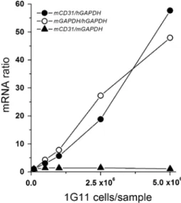 Fig. 1 Quantification of endothelial cell-derived mCD31 mRNA levels in Matrigel. Increasing concentrations of murine endothelial 1G11 cells (ranging between 1 9 10 5 and 5 9 10 6 cells) were added in vitro to liquid Matrigel in the presence of human HEC-1-