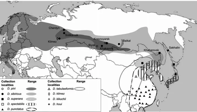 Figure 2: Distribution of Dendrolimus sibiricus and other related Dendrolimus species in Eurasia (from Kononov et al., 2016)