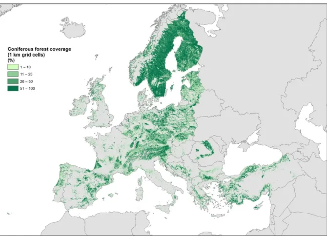 Figure 3: The cover percentage of coniferous forests in Europe with a range of values from 0 to 100 at 1 km resolution (source: Corine Land Cover year 2012 version 18.5 by EEA)
