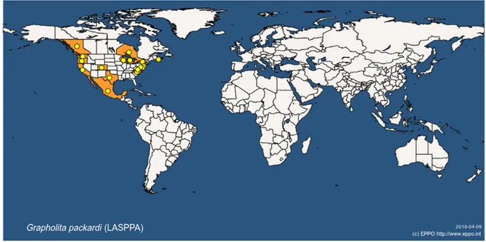 Figure 1: Global distribution of Grapholita packardi (extracted from the EPPO Global Database accessed on 9 April 2018)